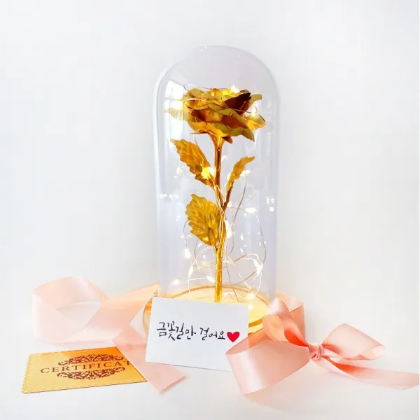 금꽃 무드등 어버이날카네이션 기념일 생일 여자친구 엄마선물 장모님선물 어버이날 선물