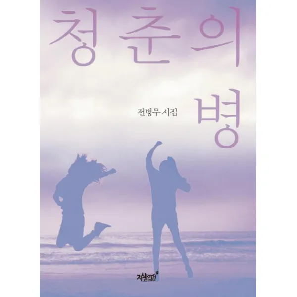 청춘의 병:정병무 시집, 지식과감성
