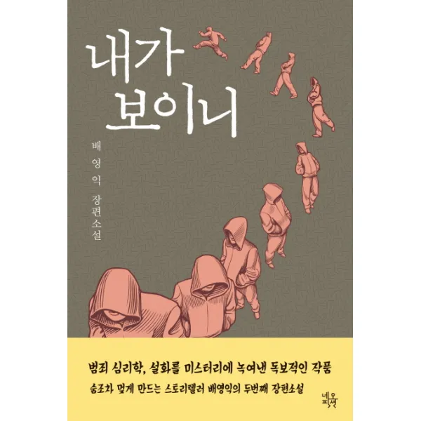 내가 보이니:배영익 장편소설, 네오픽션