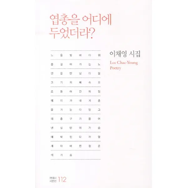 엽총을 어디에 두었더라:이채영 시집, 한국문연