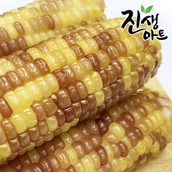 진생마트 쫀득쫀득 찰옥수수 벌크 홍찰 20개