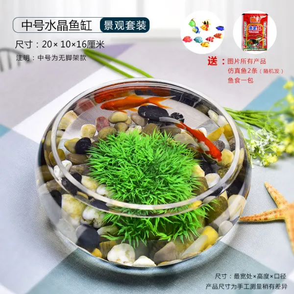 Mar.23 81번 사무실 작은 어항에다 투명유리 거북이 항아리 거실 가정용 테이블 원형 미니어처 금어항z 미 디 엄 크 리 스 탈 실린더 경관 세트 