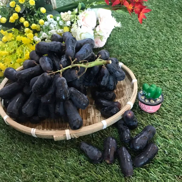 [맛나과일] 블랙사파이어/최고 당도 가지포도 마녀 포도 800g
