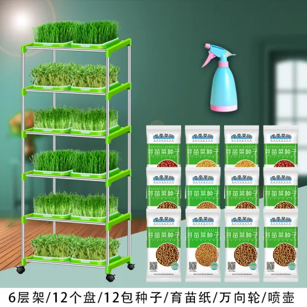 누런색 실내 무토 재배 홈 베란다 야외 새싹채소 그린 엘로 싹이트다 대야, 더블 6단 12 암호추가 접시 12