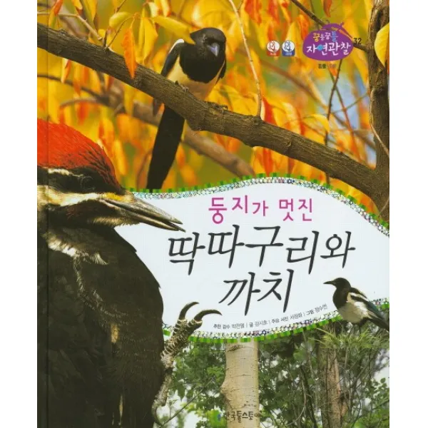 둥지가 멋진 딱따구리와 까치, 한국톨스토이