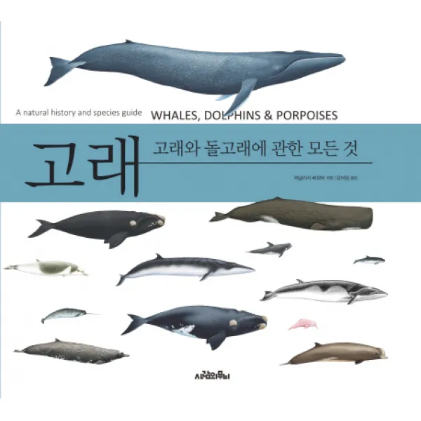 고래:고래와 돌고래에 관한 모든 것 사람의무늬