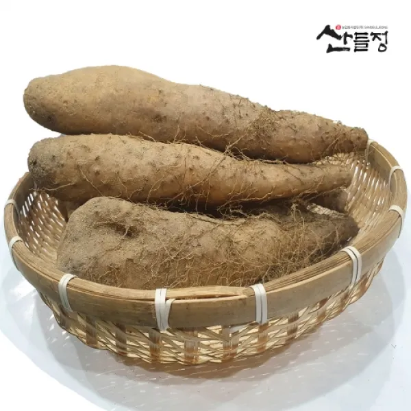 안동마 참마 마사토 산마 5kg, 3kg [산지직송] 마 안동참마 생마 / 산들정, 1box, 07. 안동 산마 5kg (상)