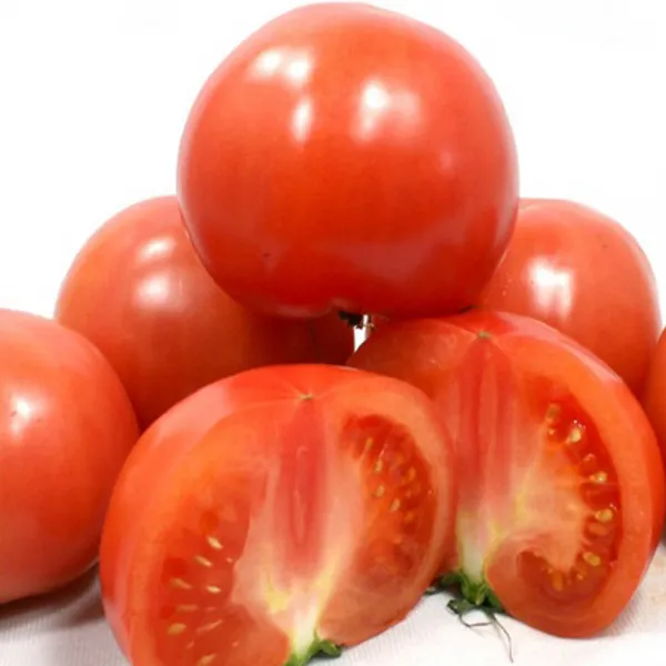 [남도장터]오병이어 완숙 토마토 5kg 4~5번과, 단품