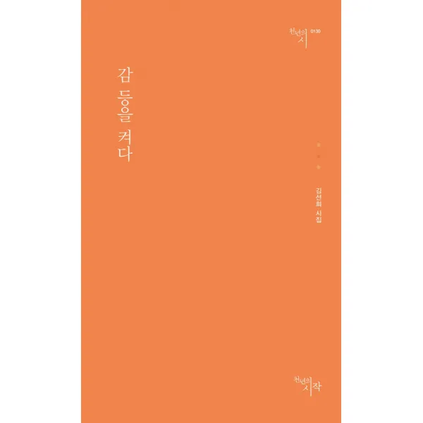 감 등을 켜다:김선희 시집, 천년의시작, 김선희