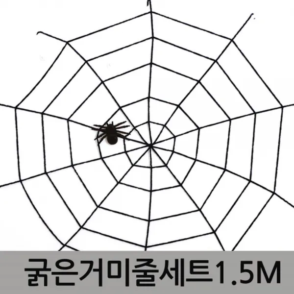  B.k 할로윈장식 굵은 거미줄과 거미 공포 행사 할로윈 거미줄 데코용품 할로윈파티 할로윈장식 화이트