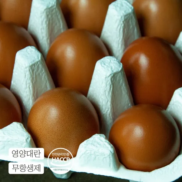 [훈민정과] 신선한 계란만 구워낸 '촉촉 쫄깃' 무항생제 구운란, 30구
