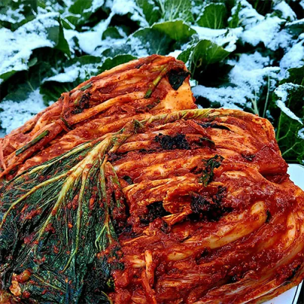 전라도 꽃 김치 국내산 수제 생포기 가정식 배추김치 당일제조 김장김치 수제 포기김치3kg 5kg 3kg