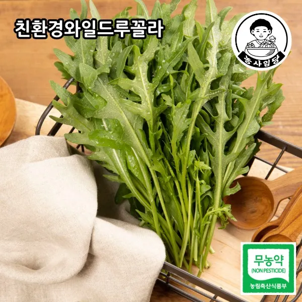 [농사임당] 친환경 무농약 와일드루꼴라 250g/500g, 250g
