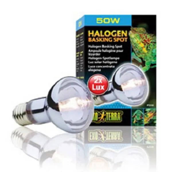 엑소테라 할로겐 스팟램프50w 75w, 1개, 50w