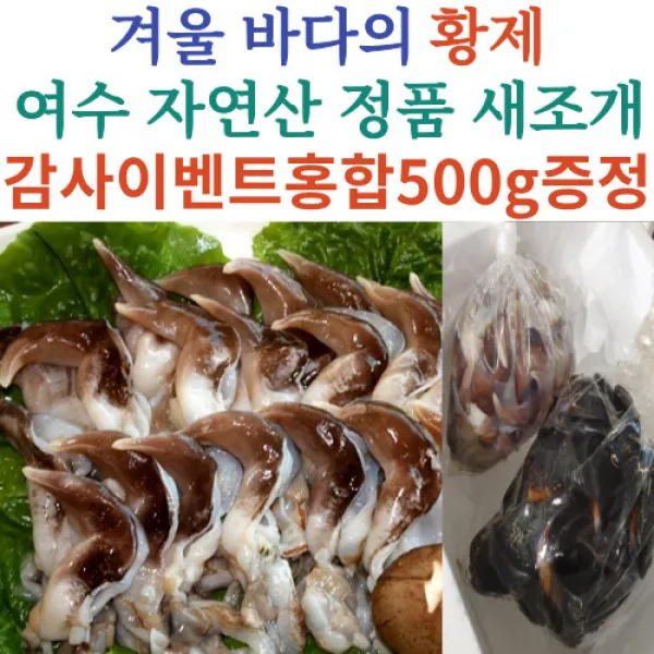 당일손질 자연산 여수 새조개 2kg 실중량 500g 내외