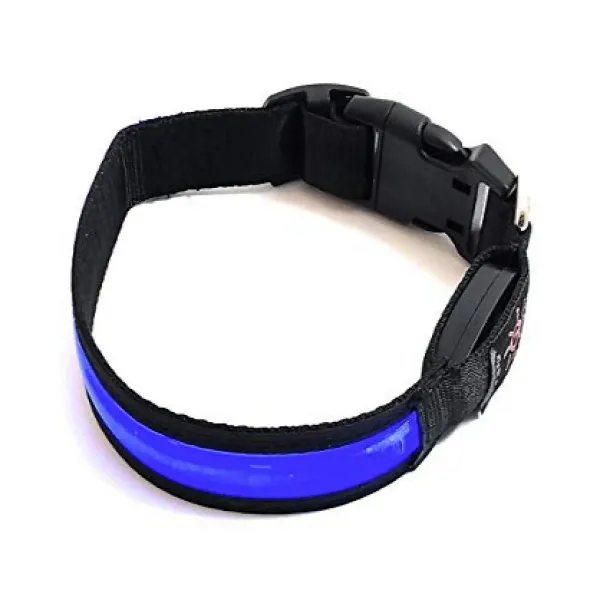 BrightPaws Dog Collar LED Light Rechargeable Water Resistant (Medium Blue) BrightPaws 개 목걸이 LED 빛 충, 1