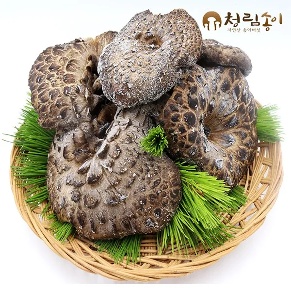 (청림송이 능이) 자연산 능이버섯(특품)냉동, 1개, 냉동능이/A급(상)/1kg
