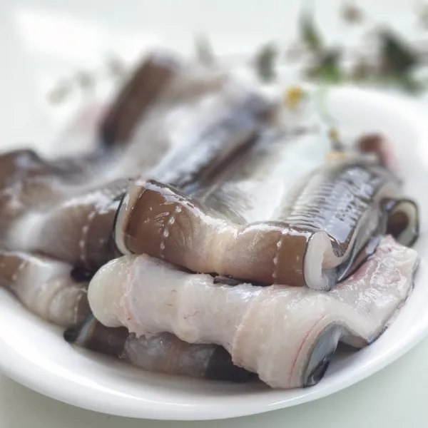  바다장어 통영 바다장어 1kg 아나고 현수산 1팩 중장어 6~10마리