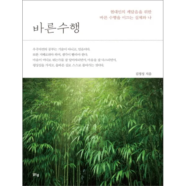 바른수행:현대인의 깨달음을 위한 바른 수행을 이끄는 실체와 나 맑은샘