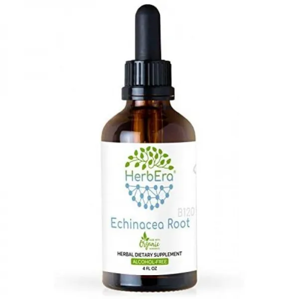 Echinacea Root B120 무 알코올 허브 추출물 팅크 초 농축 책임있는 유기농 에키 네시아 (Echinacea Pur, 1