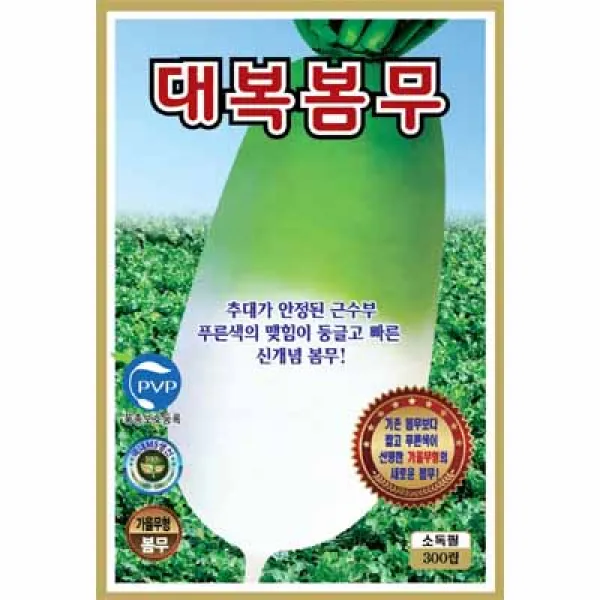 [농사넷] 추대가 안정된 근수부 푸른색의 맺힘이 둥글고 빠른 신개녕 봄 무씨앗 대복봄무 300립, 1개