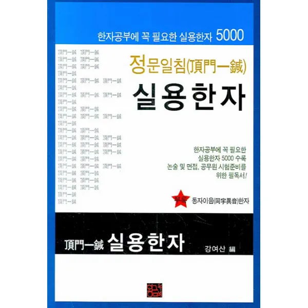 정문일침 실용한자, 황금두뇌