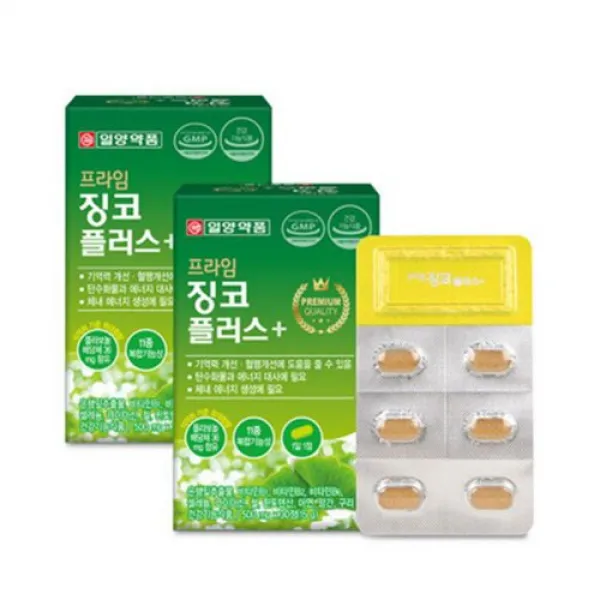 혈행개선제 기억력감퇴 은행잎추출 징코30정x4박스, 4박스, 30정