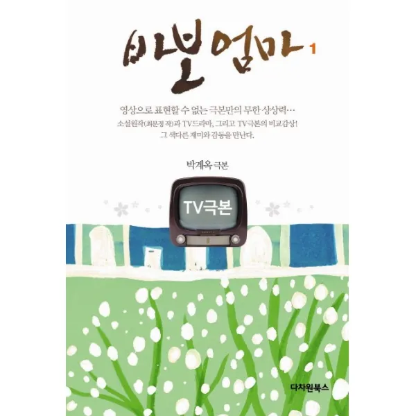TV극본 바보엄마. 1:박계옥 극본, 다차원북스