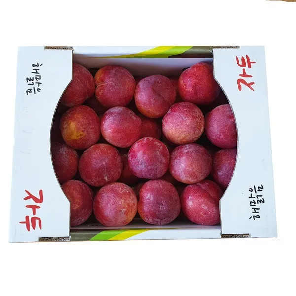 자두 추이5kg 특크기 과일선물세트 가을자두