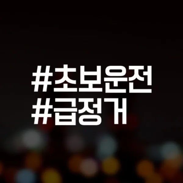 윈스턴 초보운전 아이가타고있어요 아이먼저 극한초보 차량스티커 40종, 1개, 29.해시-초보-블랙