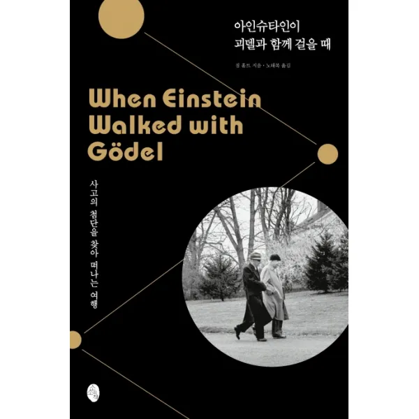 아인슈타인이 괴델과 함께 걸을 때:사고의 첨단을 찾아 떠나는 여행, 소소의책