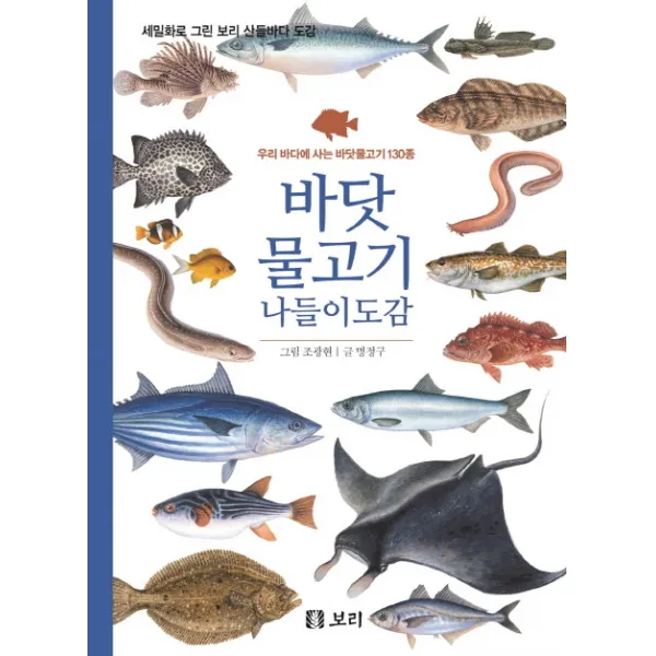 바닷물고기 나들이도감:우리 바다에 사는 바닷물고기 130종, 보리