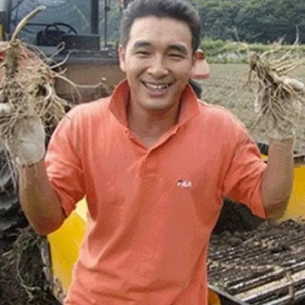 (햇삼/750g)다림용난발삼 세척인삼 쭉뻗은 원수삼 영업용삼계.가정용실속파삼특가/선물용행사/금산부부인삼.못난이난발삼추천, 1개, (03)비세척-750G 홍삼다림 못난이 파삼