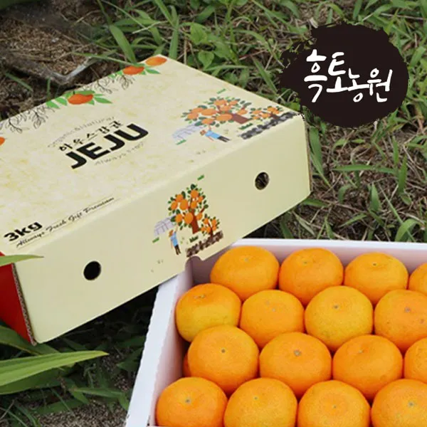 [흑토농원] 제주 서귀포 하우스 감귤 2kg 3kg 5kg