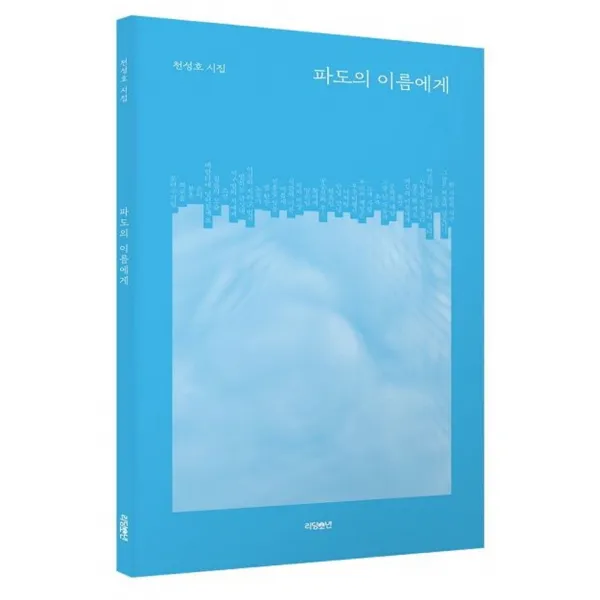 파도의 이름에게:천성호 시집, 리딩소년, 천성호