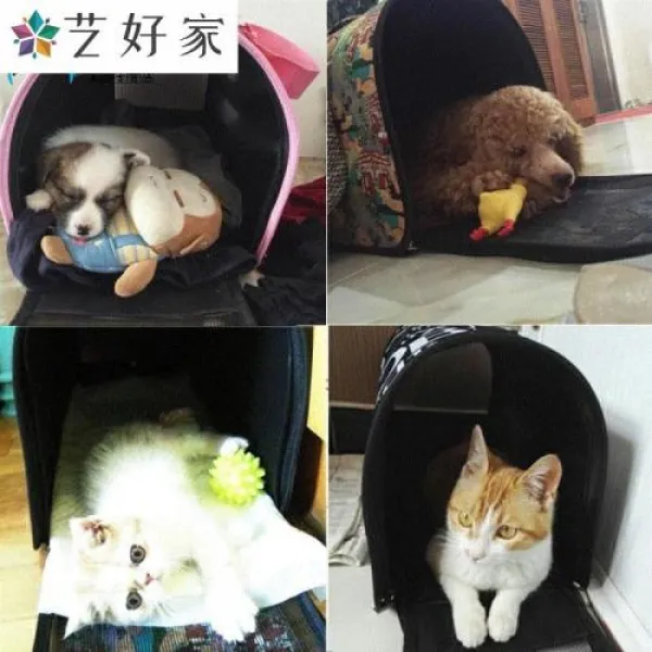 WOMUL 애견가방 애견 캐리어 펫백 투 웨이트와 시루 마멸방지 테디 캣백 큐트 외출, 옵션20