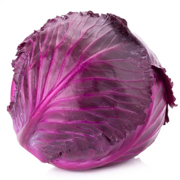 적채 1통(약1kg) 붉은꽃 양배추 가락시장 직송, 적체 1통