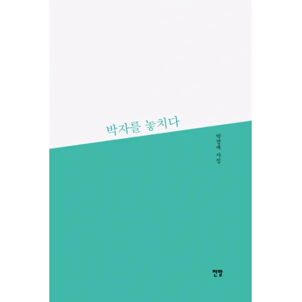 박자를 놓치다:박정애 시집, 전망