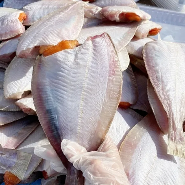 건담농수산 울산가자미 방어진 반건조 말린 참가자미 만남의광장 백종원가자미 산란기 살오른 대왕사이즈, 울산참가자미[4~5미]