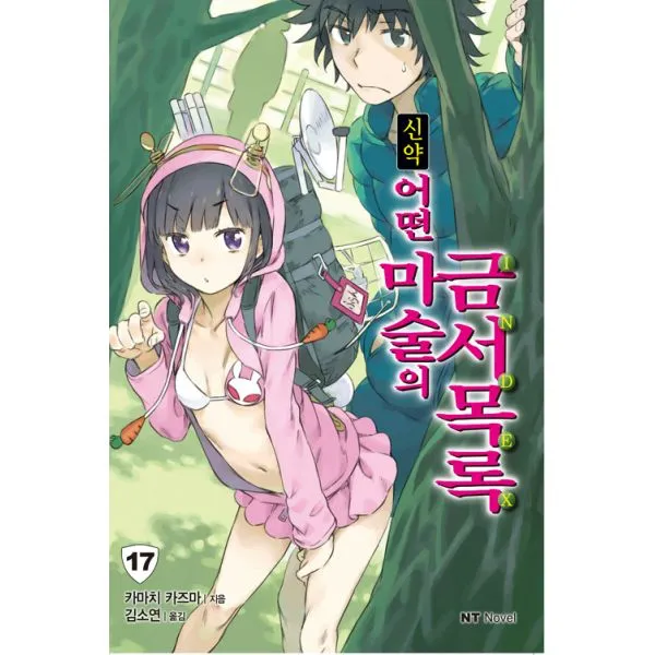 신약 어떤 마술의 금서목록 17 : NT Novel, 대원씨아이(단행본)