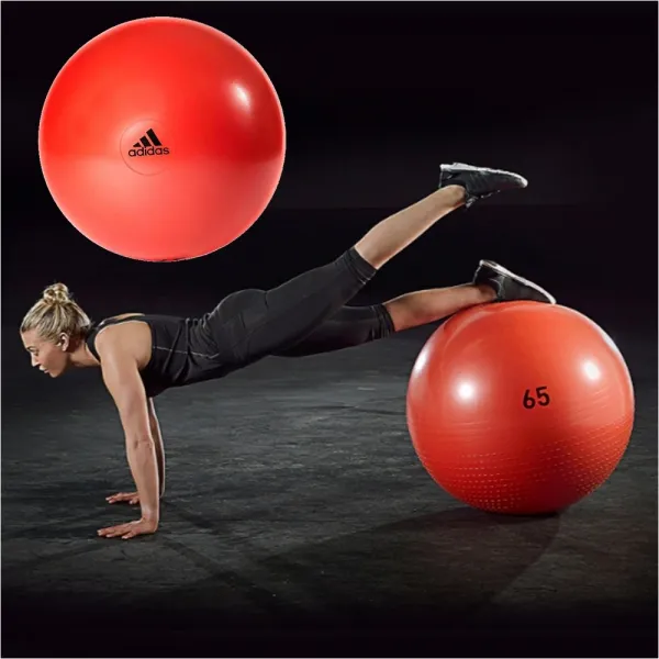 adidas 정품 아디다스짐볼 65cm 펌프포함 허용중량 136kg