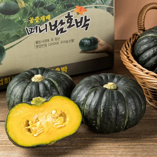 농부의 마음 해남 미니밤호박, 1박스, 4kg
