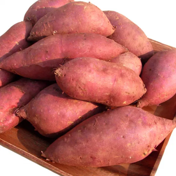 아빠의 마음 2019년 햇꿀고구마 3kg 5kg 10kg 판매, 1개, 꿀고구마3kg(중/한입)