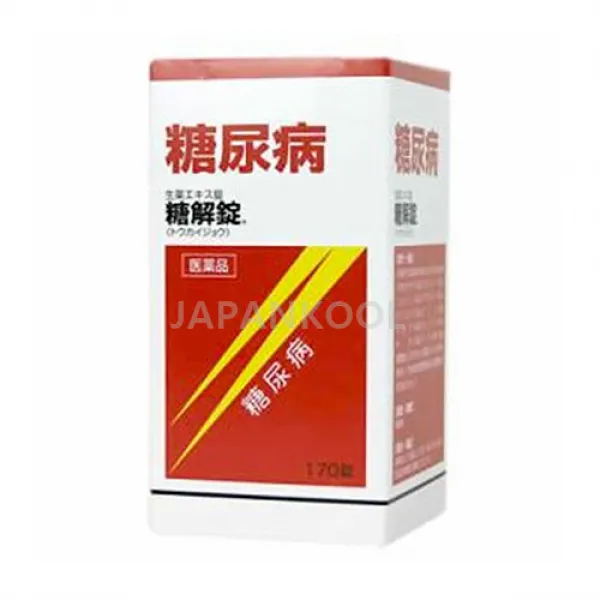 고바야시kobayashi 당해정 R170 정 1개