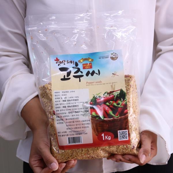 2019년 국내산 햇 고추씨 김장용 1박스 1kg
