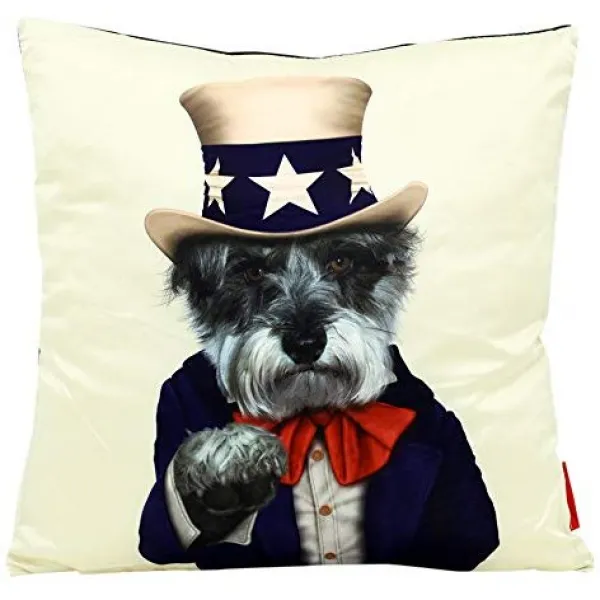 Nmt 제국 예술 직접적인 애완 동물 바위 Hrh 장식적인 방석 P040101kazp7ny2 Uncle Sam