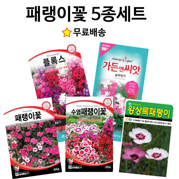 패랭이 꽃 씨앗 5종세트 패랭이꽃 꽃잔디 왕수염패랭이 수염패랭이 술패랭이 왕상록패랭이 종자