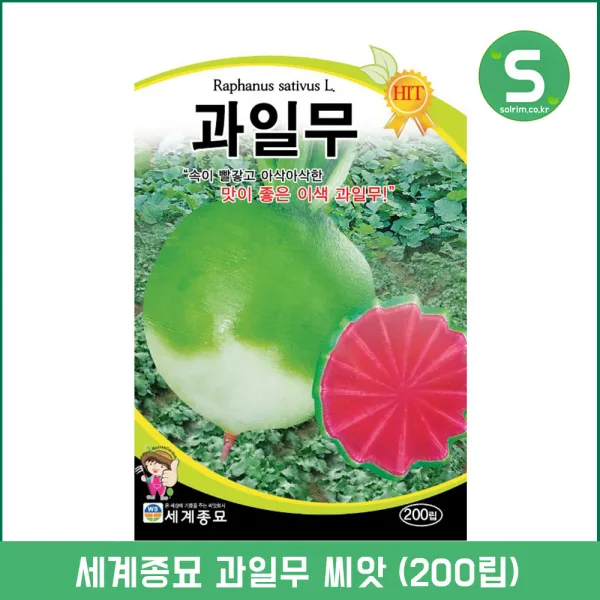 세계종묘 과일무씨앗 200립 이색 과일무 무씨앗 샐러드 생식용