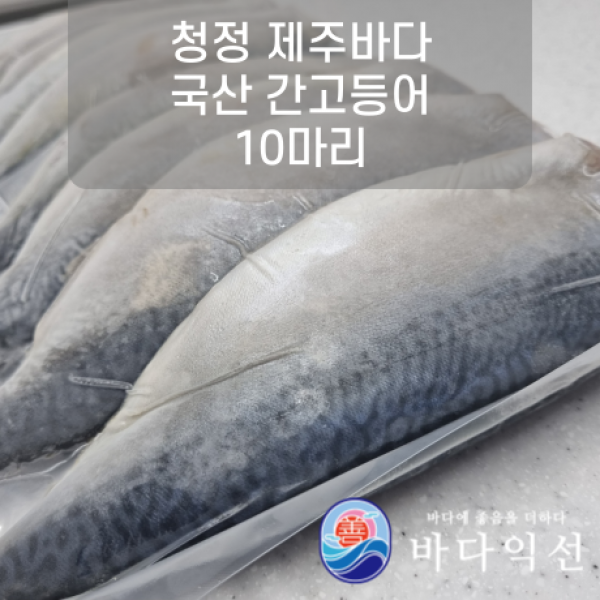 [무진물산] 고등어구이 제주 앞바다 참고등어로 만든 맛있는 간고등어 10마리 (원물 3.2kg 내외) 생선구이 자반 고갈비