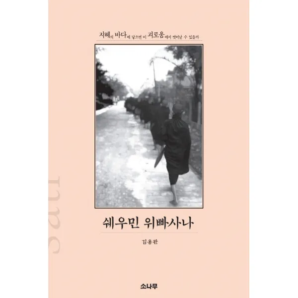 쉐우민 위빠사나:지혜의 바다에 닿으면 이 괴로움에서 벗어날 수 있을까, 소나무, 9788971391037, 김용관 저